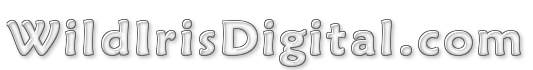 wid-logo-1 (10K)